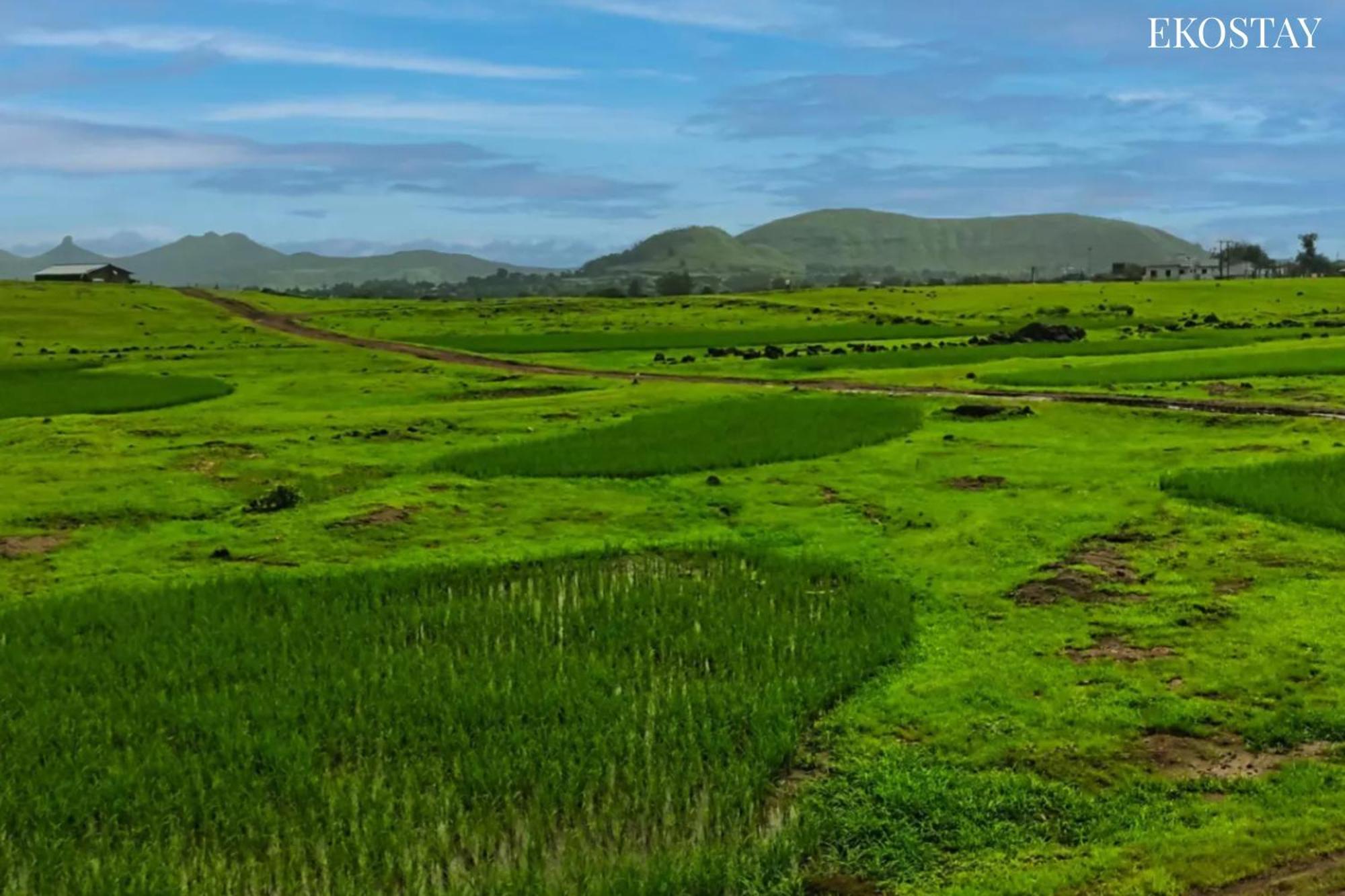 Ekostay - Neptune Villa Igatpuri Buitenkant foto